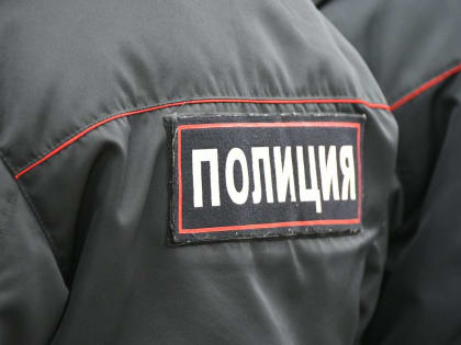 В Туле полиция задержала телефонного вора