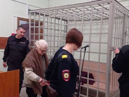 Богородицкой пенсионерке, убившей жену внука, продлили заключение под стражей на четыре месяца