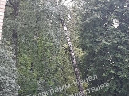 Жители Новомосковска публикуют последствия града