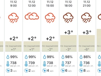 Потепление принесет в Тулу туман и мокрый снег 11 декабря