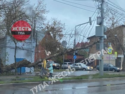 На улице Токарева в Туле упавшее дерево оборвало провода и сломало светофор