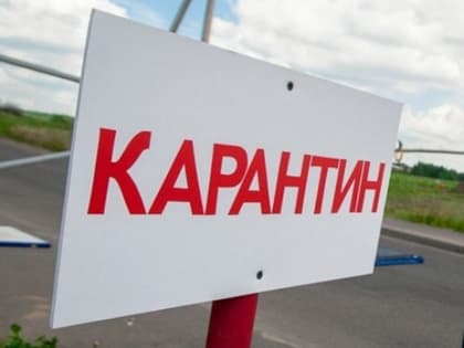 В Каменском районе ввели карантин по бешенству животных