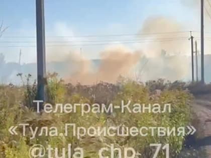Пожар в Болохове: Сухая трава воспламенилась в Тульской области