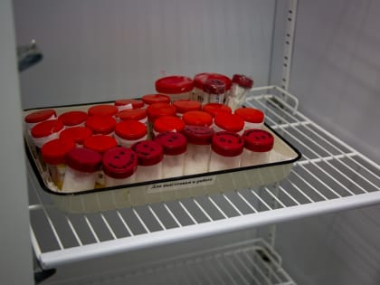 В 2022 году в Тульской области зафиксировали 720 случаев ВИЧ-инфекции