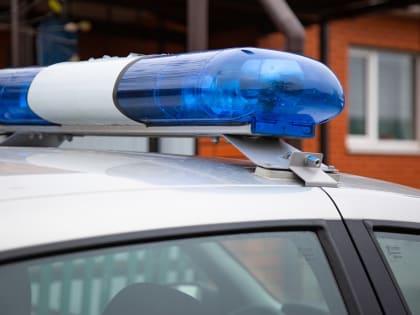 В Туле 19-летний рецидивист попался на краже из супермаркета