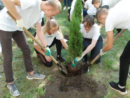 В Донском появилась «Аллея выпускников»