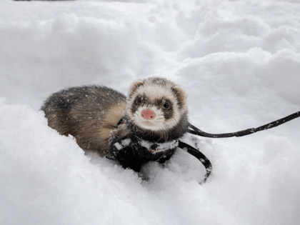 6 января в Тульской области будет ветрено, а температура воздуха опустится до -20 градусов