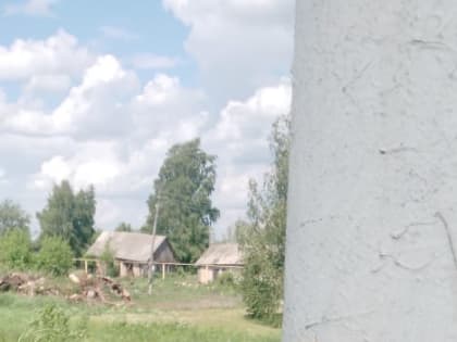 В рамках реализации муниципальной программы 