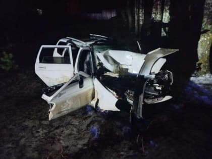 В Алексинском районе произошло ДТП. Пострадали 3 человека