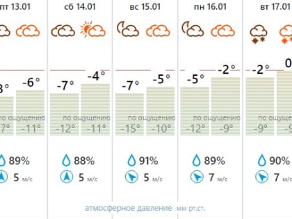Антициклоны принесут в Тулу аномальное потепление до +2