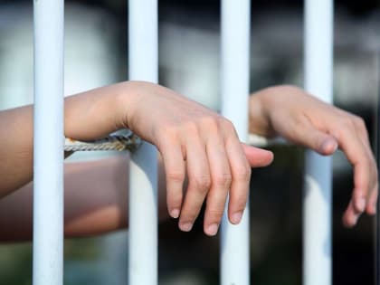 Щекинский районный суд вынес приговор по уголовному делу