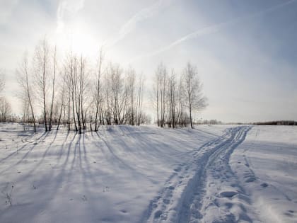 К выходным в Тульскую область придут настоящие сибирские морозы