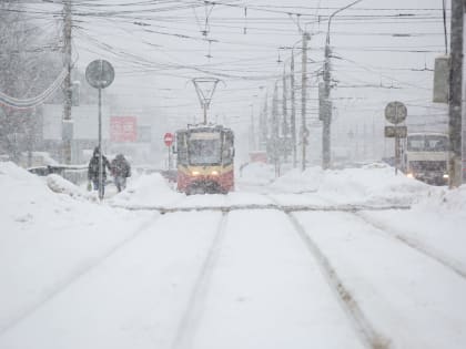 В ночь на 5 февраля в Тульской области пройдет снег