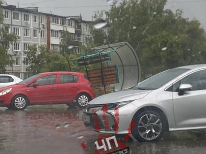Рухнувшие деревья и остановки: последствия сильного ливня и ветра в Тульской области