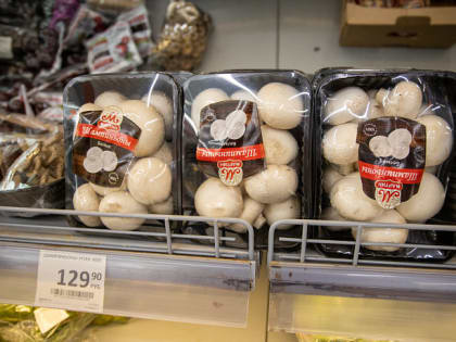 Специалисты Роспотребнадзора рассказали, как выбрать грибы весной