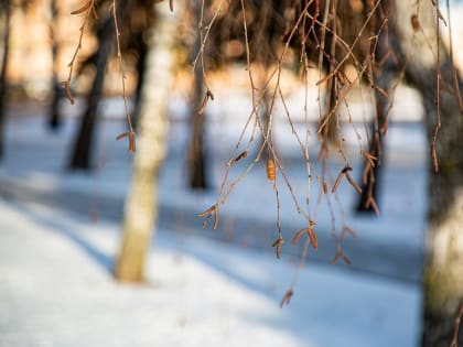 13 января в Тульской области будет облачно и морозно