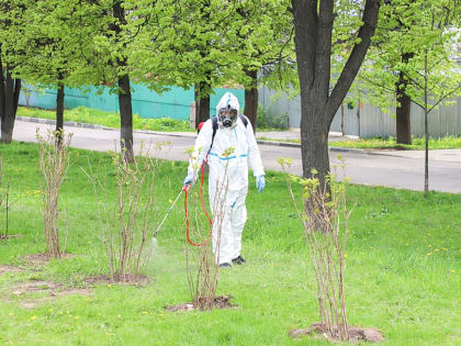8 туляков заболели болезнью Лайма