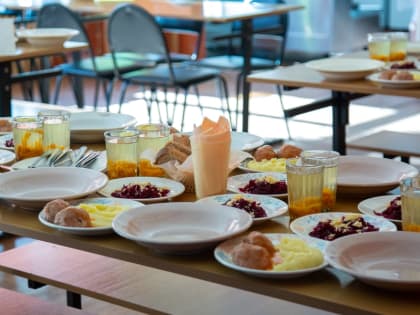 В тульской школе нашли кишечную палочку