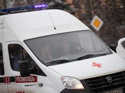 Ребенок получил травму, упав с горки в новогоднюю ночь в Тульской области