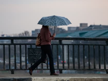 27 июня в Тульской области ожидается сильный дождь