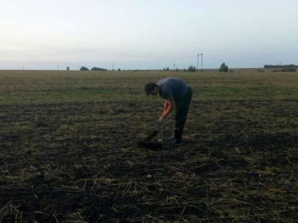 Киреевские искатели нашли гильзы, патроны и осколки мин