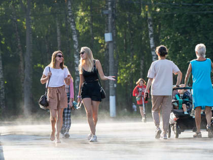 Похолодание до +16 градусов и пасмурная погода ожидаются в Тульской области 31 мая