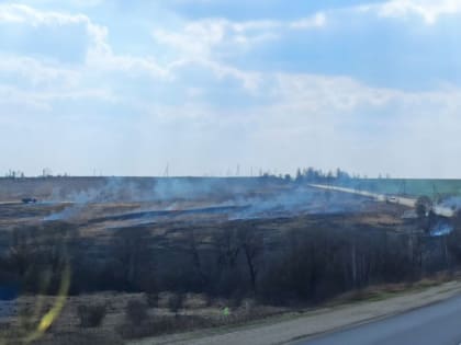 Убийцы природы. Несмотря на штрафы, туляки продолжают поджигать траву