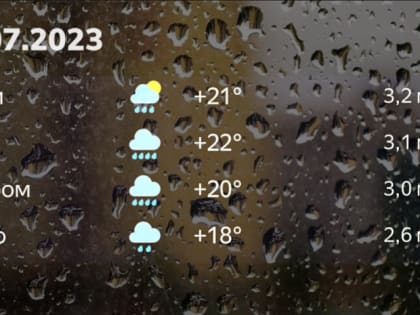 Дождливые выходные не повод для грусти: прогноз на 8 июля