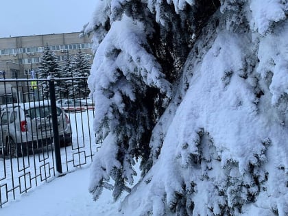 В последние дни старого года в Тульской области будет «плюс», в первые дни нового – резкий «минус»