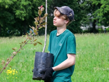 Ученики школы №17 приняли участие в озеленении города