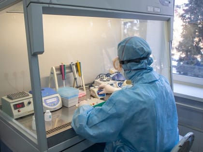 Новый штамм коронавируса «арктур» массово охватит Россию осенью 2023 года