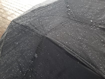 В Туле в эту субботу синоптики прогнозируют дождь