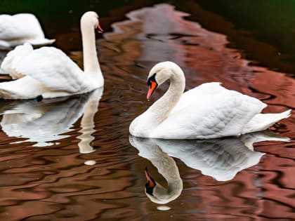 В ночь на 4 июня в Тульской области будет преимущественно без осадков