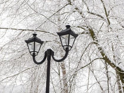 1 января 2023 года стало самым теплым за историю метеонаблюдений в Тульской области