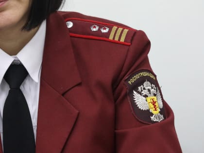 В Туле закрыли доставку пиццы и роллов Farfor после случая отравления