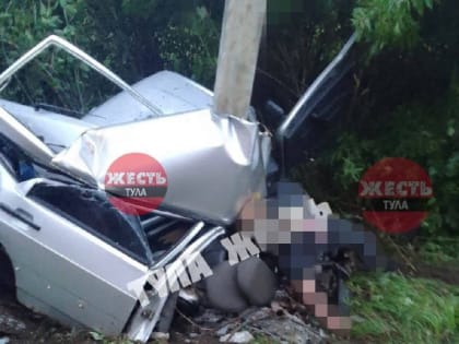 В Тульской области  произошло смертельное ДТП