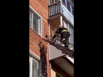 В Ясногорске пожарные спасли застрявшего на балконе кота