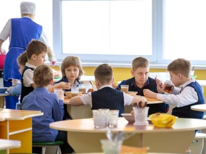 Почему тульские школьники страдают ожирением: исследование Роспотребнадзора