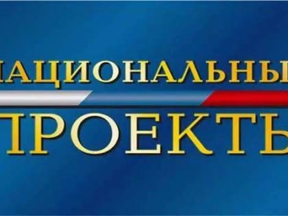 "Прямая линия с президентом": к вопросу о национальных проектах