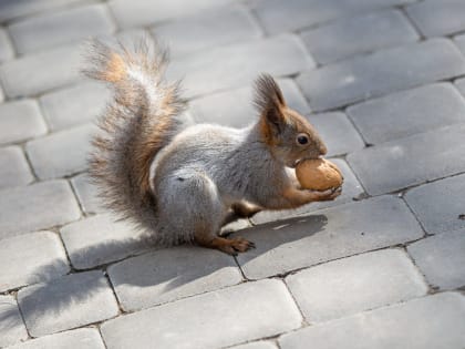 27 апреля в Тульской области пройдет небольшой дождь