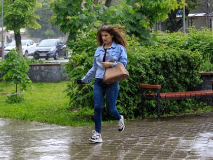 Летнее тепло и кратковременный дождь ожидаются в Тульской области 16 июля