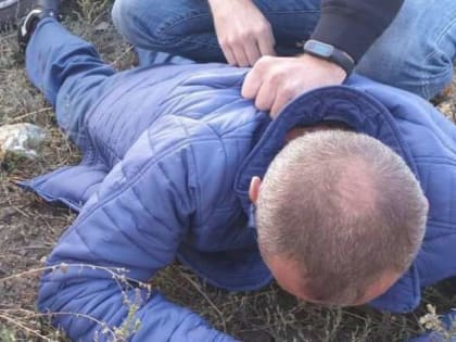 В Алексине полицейскими задержаны дачные воры