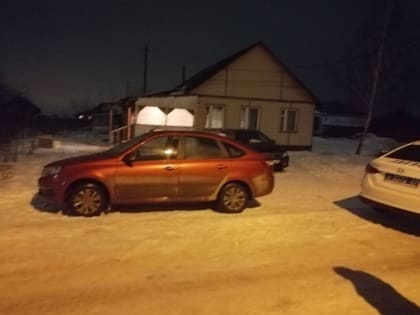 В Тульской области водитель автомобиля Lada сбил пешехода