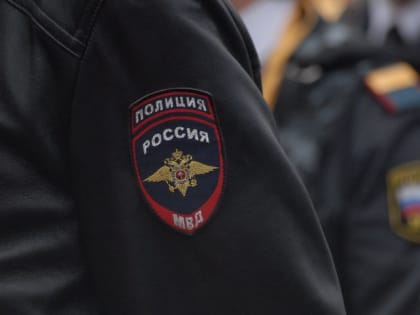 В Суворове двое безработных украли металлические ворота гаража