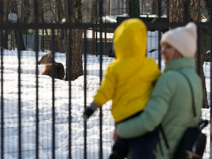 Ранняя беременность: тульские специалисты рассказали, как помочь будущей маме и что делать родителям