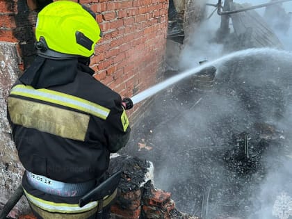 Мужчина и ребенок погибли на пожаре в СНТ в Заокском районе