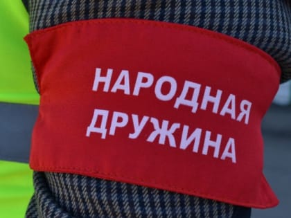 Щекинские дружинники вновь помогли полиции задержать наркоторговца