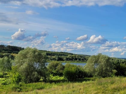 Южный ветер принесёт в Тулу жару 25 июля
