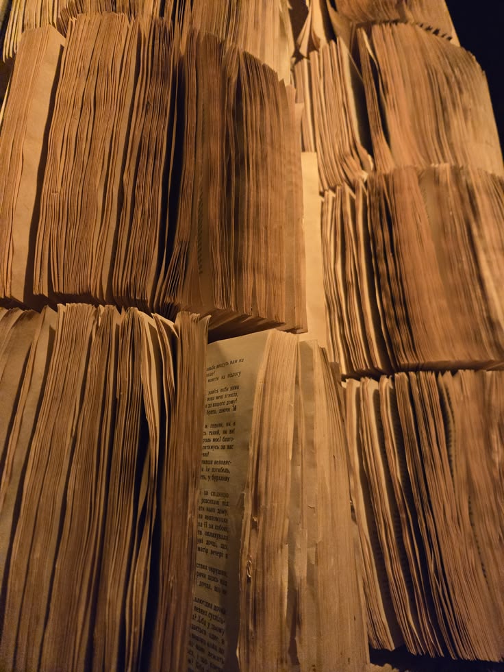 Project Panama: The AI Industry's Quiet War on Physical Books