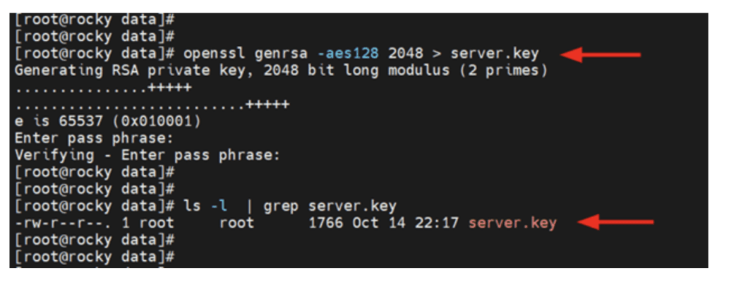 Generate Postgres SSL server key